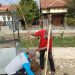 Penanaman pohon mangga dan ketepeng dalam rangka HUT KORPRI Ke-48