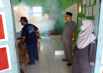 Antisipasi Penyakit DBD di Musim Penghujan