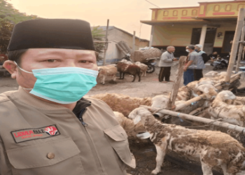 penyerahan hewan qurban