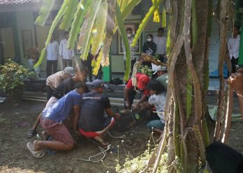 Kemenag Brebes Berbagi Qurban Dengan Masyarakat Sekitar