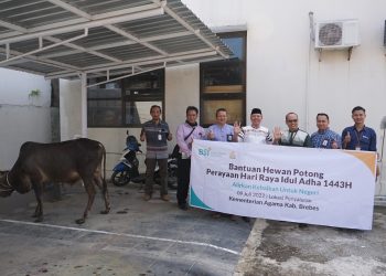 Momen Idul Adha: Kolaborasi Kemenag Brebes  dan BSI Berbagai Daging Qurban