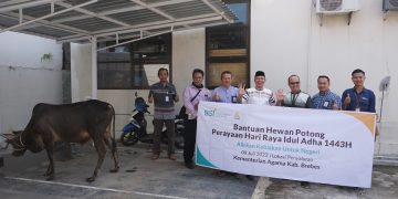 Momen Id￼ul Adha: Kolaborasi Kemenag Brebes  dan BSI Berbagai Daging Qurban   